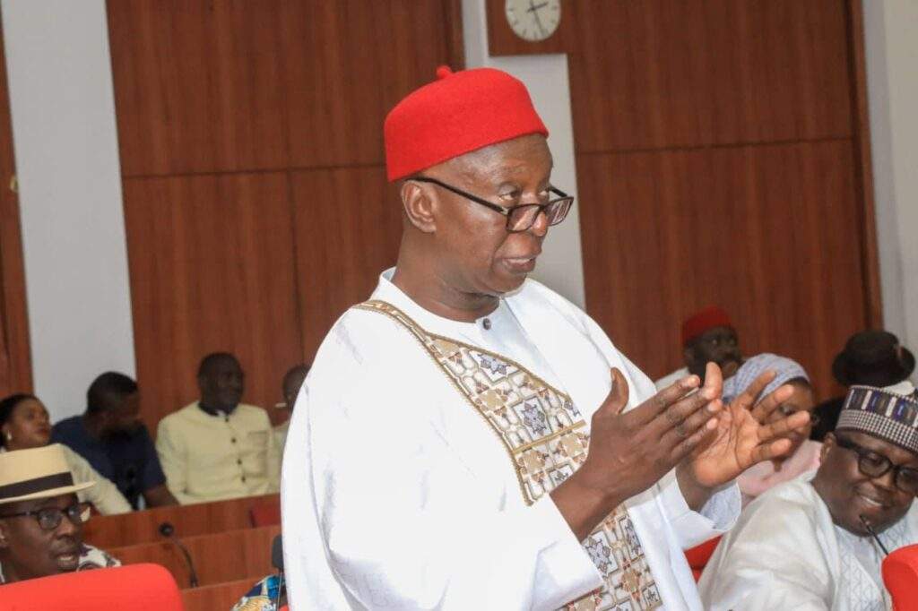 Senator Ned Nwoko Urges Transformation of Illegal Arms Talents for