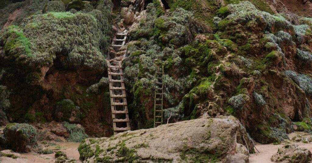 Unlocking the Symbolism Dreaming About a Ladder and Its Meanings