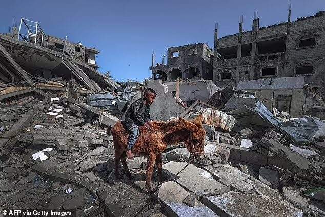boy on donkey