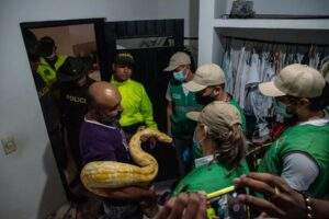 colombia
