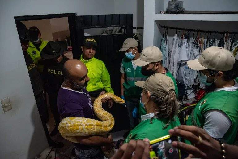 colombia