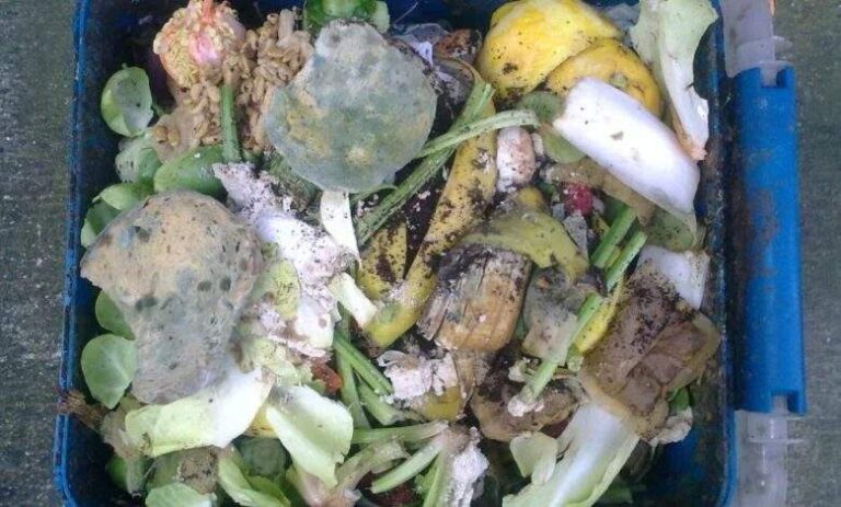 food waste