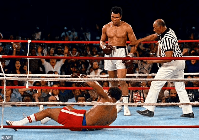 knockout
