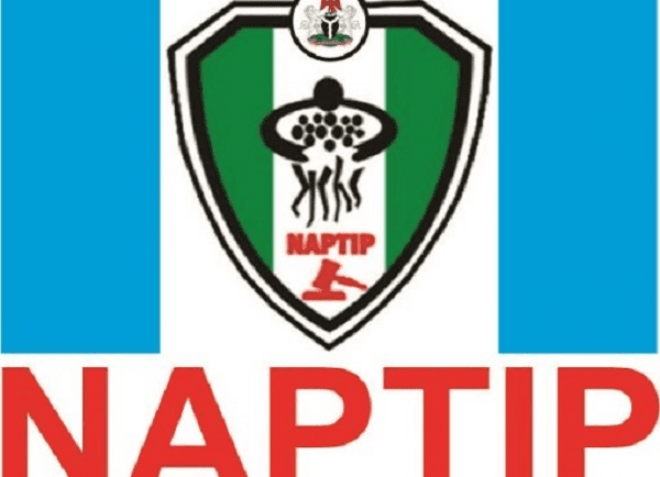 naptp