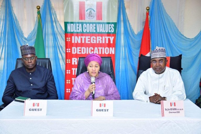 ndlea amina