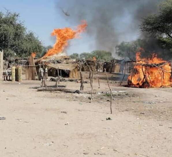 niger market