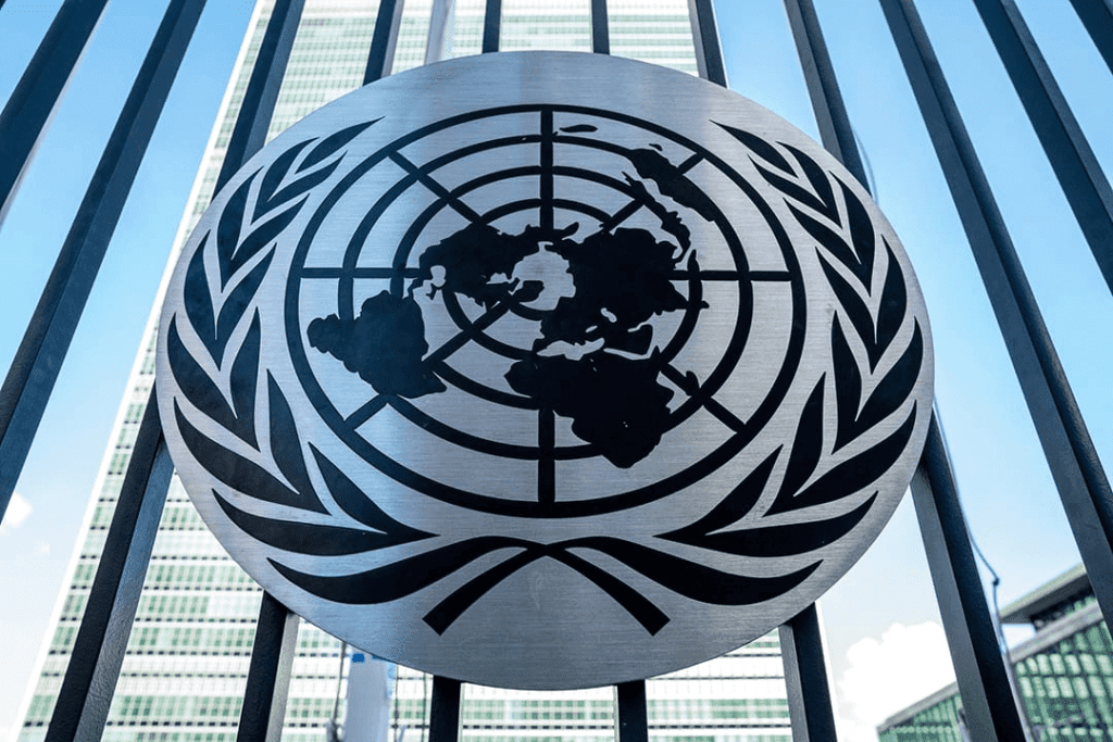 undp
