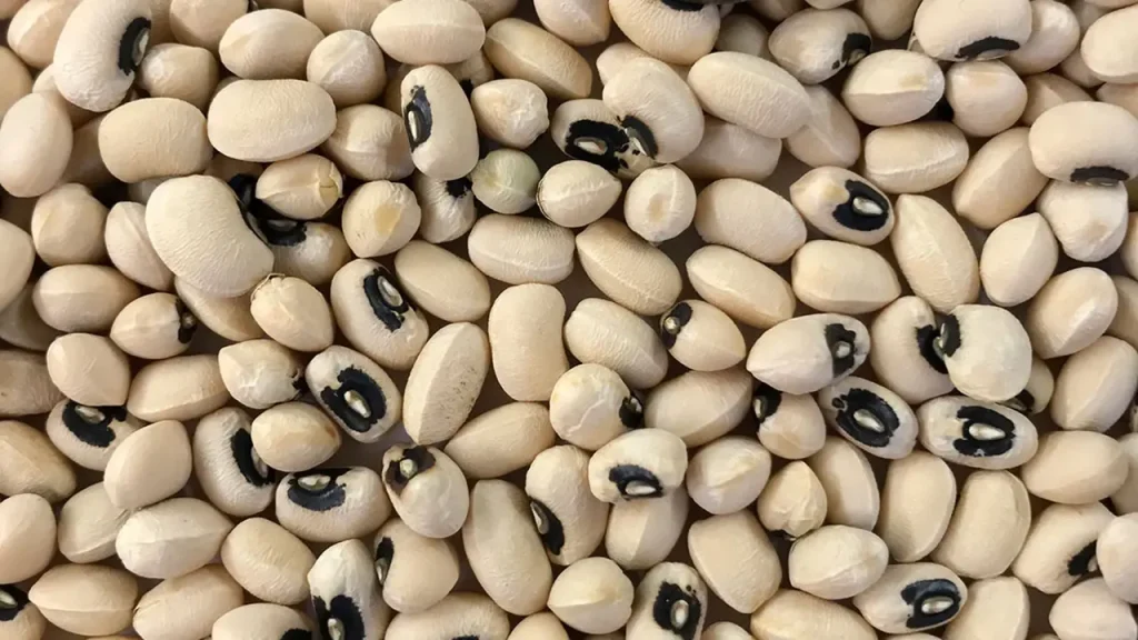 NEPC Aims to Boost Cowpeas and Sesame Seeds Value to