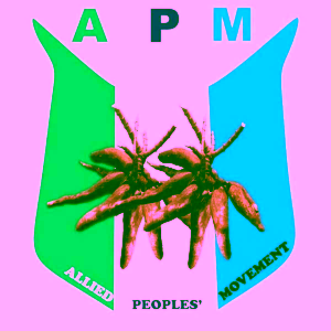 APM in Osun State Criticizes New Logo Design as Wasteful