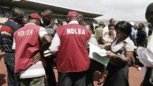 NDLEA Intercepts 900000 Opioid Pills In Kano Arrests Made 300x169