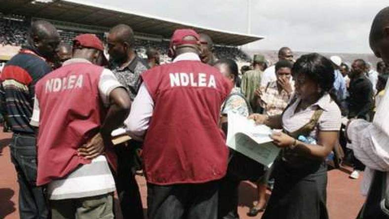 NDLEA Intercepts 900000 Opioid Pills in Kano Arrests Made