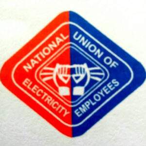 National Union Of Electricity Employees Demands Reversal Of Tariff Hike 300x300
