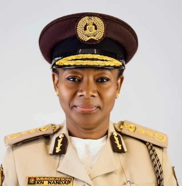 Nigeria Immigration Service Orders Investigation into Assault Incident