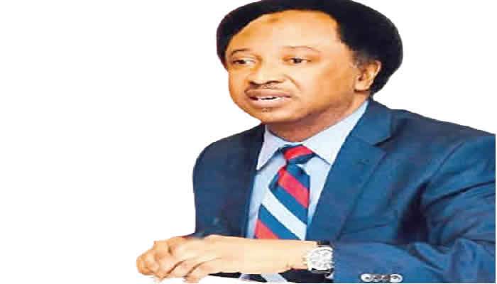 Shehu Sani Reveals Truth About Kaduna States 350m Loan Crisis