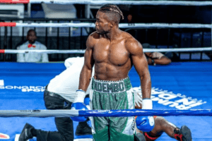 boxer dies