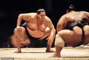 sumo