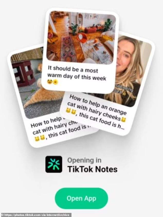 tiktok