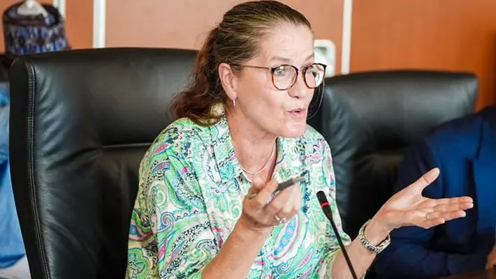 German ambassador to Nigeria