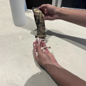 snake1
