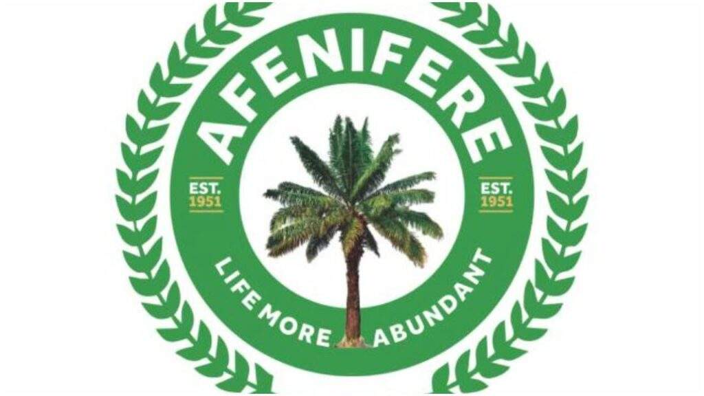 Afenifere Warns Against Nationwide Protests, Calls for Meaningful Engagement