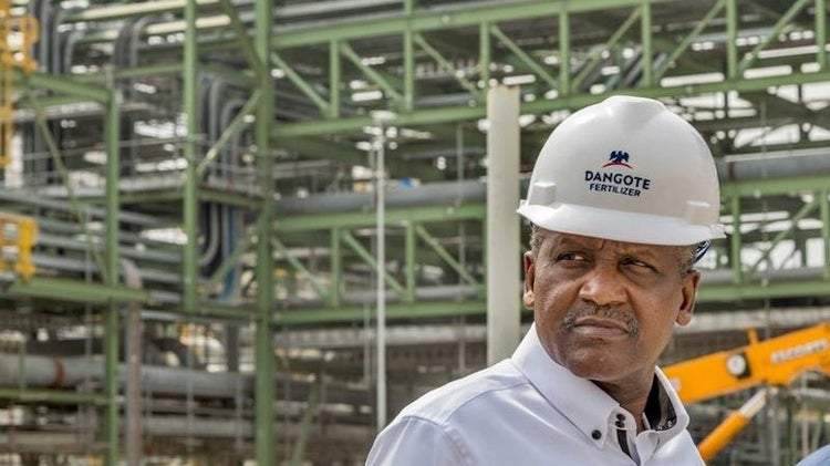 Dangote Group Targets $30 Billion Revenue by 2025, Aims to
