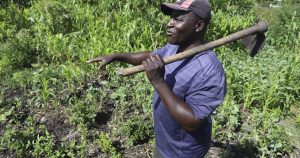 Kenya Farmers Turn Away From Industrial Farming Methods Amid Soil 300x158