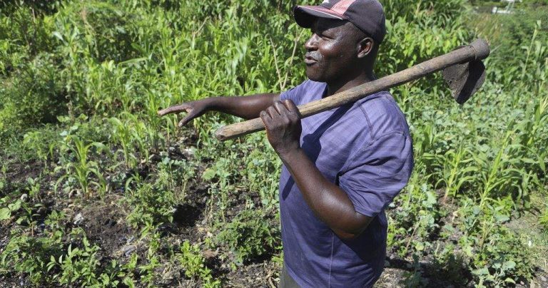 Kenya Farmers Turn Away from Industrial Farming Methods Amid Soil