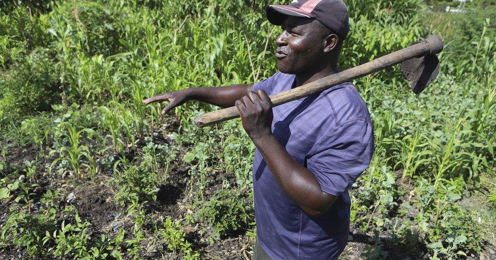 Kenya Farmers Turn Away from Industrial Farming Methods Amid Soil