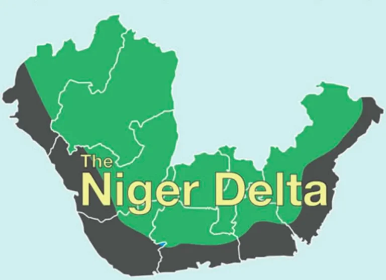 Niger Delta Youths to Protest and Occupy East West Road Over