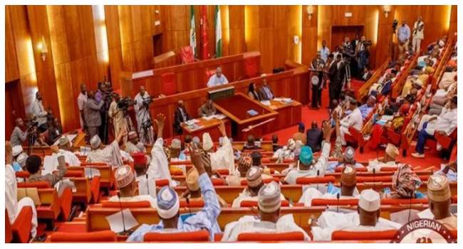 Nigerian Senate Passes Bill to Boost CBN Loans to Government