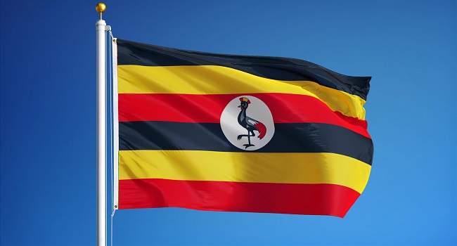 Uganda Police Uncover 17 Human Skulls in Metal Boxes at