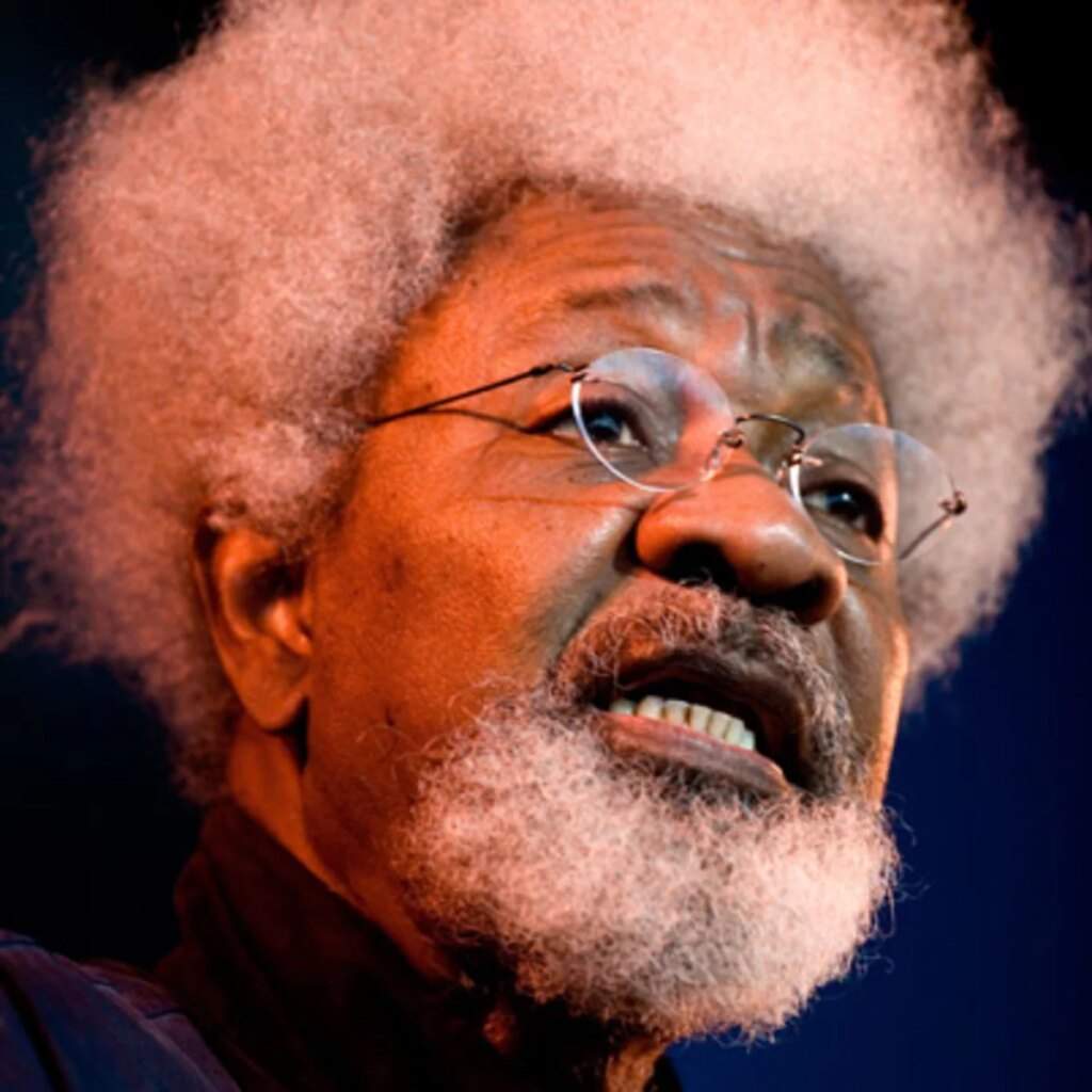 Wole Soyinka Reflects on Life, Writing, and Nigeria's Selfishness