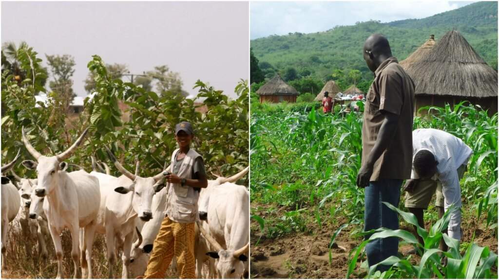 rewrite this title Farmers, herders crisis: Jigawa govt inaugurates peace,