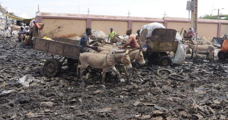 Bamako's Donkey Drawn Garbage Collectors Stepping Up to Fill Void Left