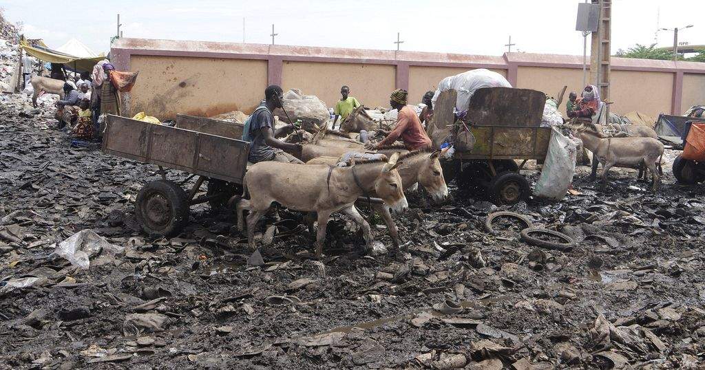 Bamako's Donkey Drawn Garbage Collectors Stepping Up to Fill Void Left