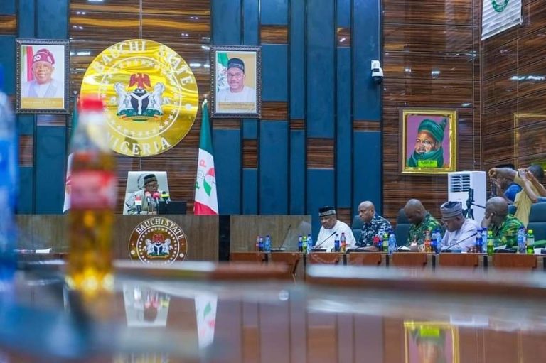 Bauchi Governor Criticizes Tinubu's Address, Calls for Consultation