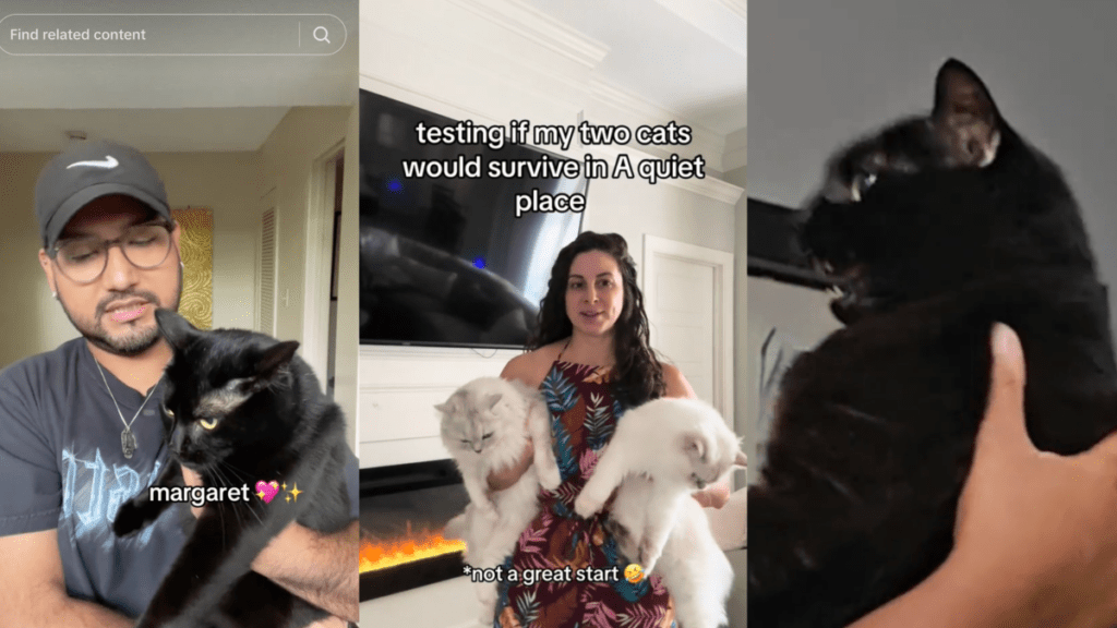 Cats Fail Miserably at Silent Challenge in A Quiet Place
