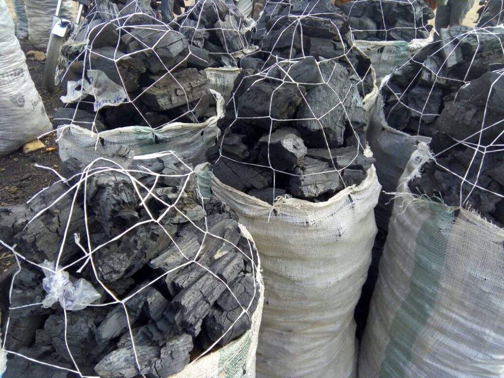 Charcoal Price Soars in Kano, Becomes Unaffordable for Many Residents