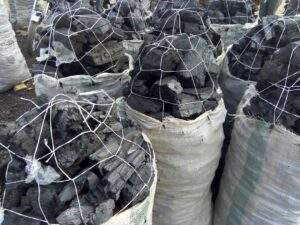 Charcoal Price Soars In Kano Becomes Unaffordable For Many Residents 300x225