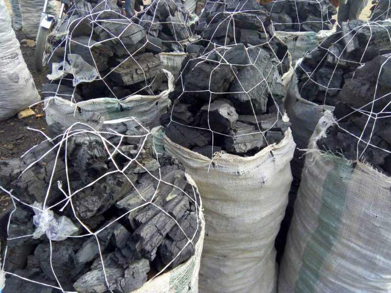 Charcoal Price Soars in Kano, Becomes Unaffordable for Many Residents