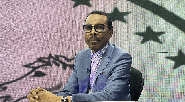 Economist Rewane Slams 70% Windfall Tax on Banks as Punitive