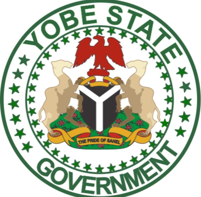 Governor Lifts Curfew in Yobe State After Normalcy Returns