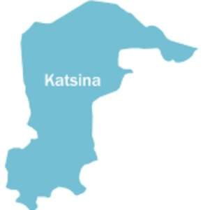 Katsina State Government Reviews Curfew Amid Improved Security 291x300