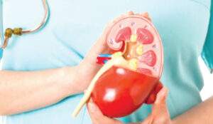Kidney Failure Prevention: 10 Lifestyles to Avoid and 5 Healthy
