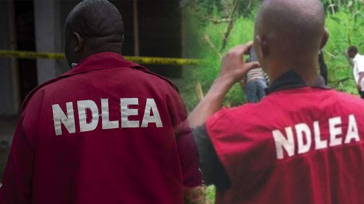 NDLEA Warns Oduma Community to Return Stolen Pistol or Face