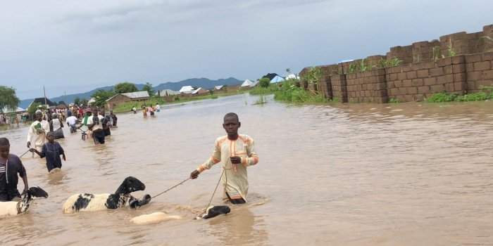 NEMA Distributes Relief Items to Kebbi Flood Victims