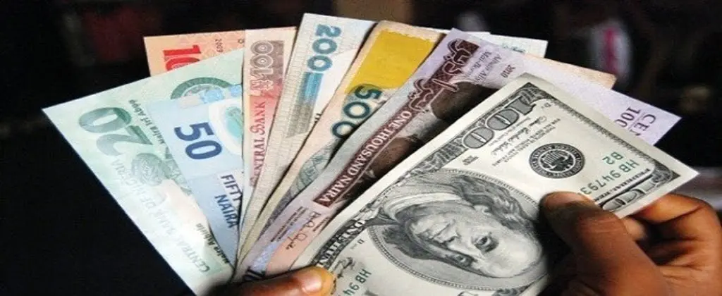 Naira Slumps to N1,617.08 Per Dollar as Hardship Protest Continues