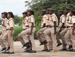 Nigeria Immigration Service Warning Against Fake Recruitment Publications 300x229