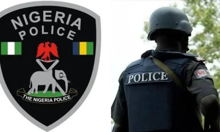 Nigeria Police Denies Amnesty International's Protest Death Toll, Arrests 681