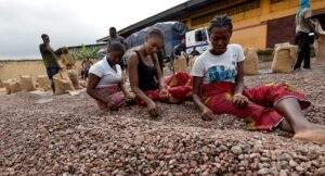 Nigeria's Exports Surge 2.6% to $2.7 Billion in First Half